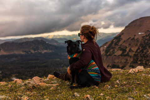 Person sitting on grassy mountain with their dog.