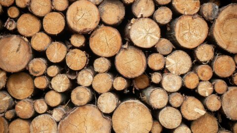 Large stack of chopped wood.