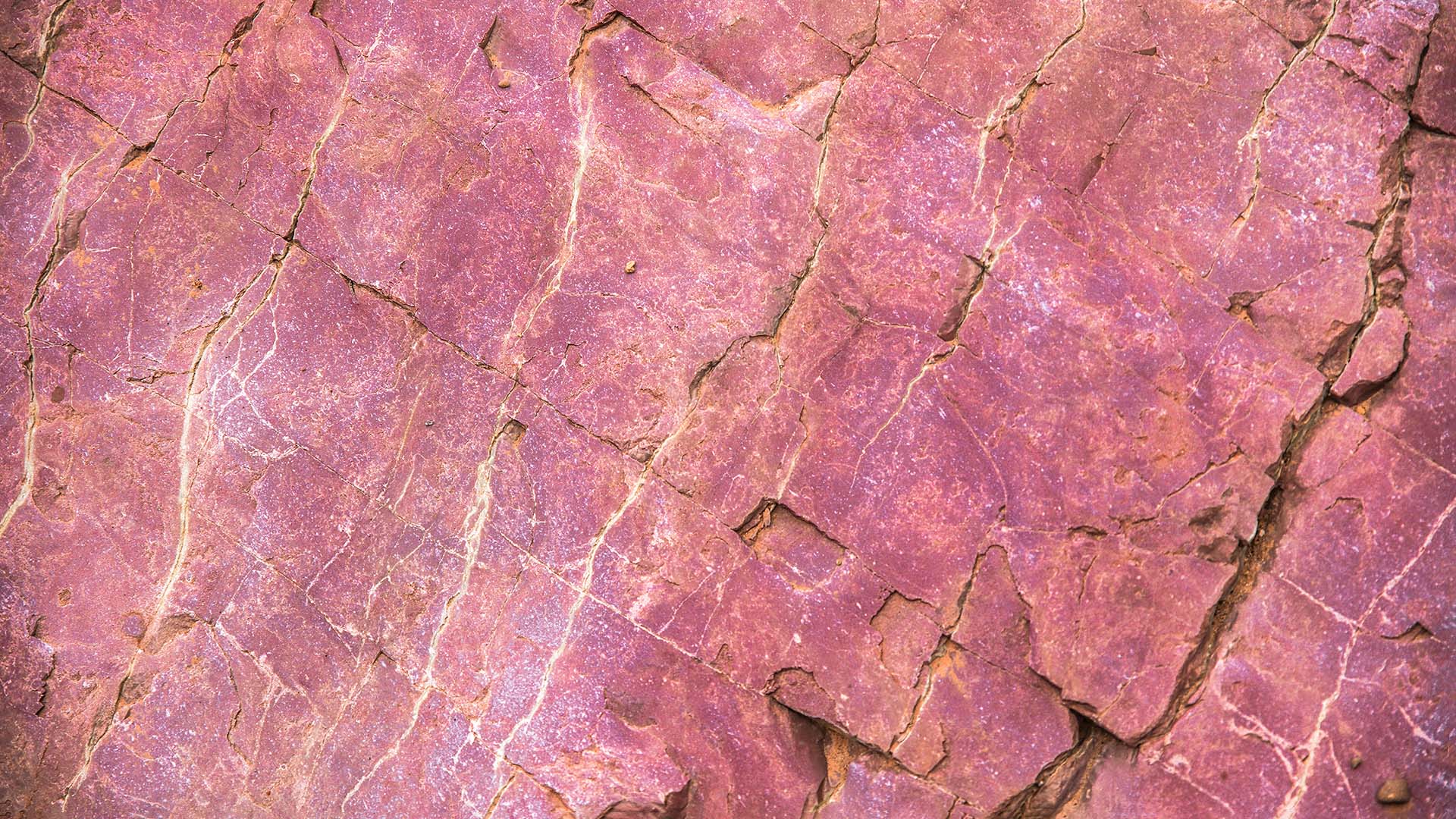 The Seasons Of Cherry Creek Luxury Apartment Living In Denver CO the-seasons-of-cherry-creek-luxury-apartment-living-in-denver-co